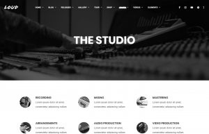the_studio