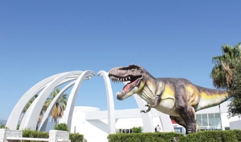 Tamux - Restauración