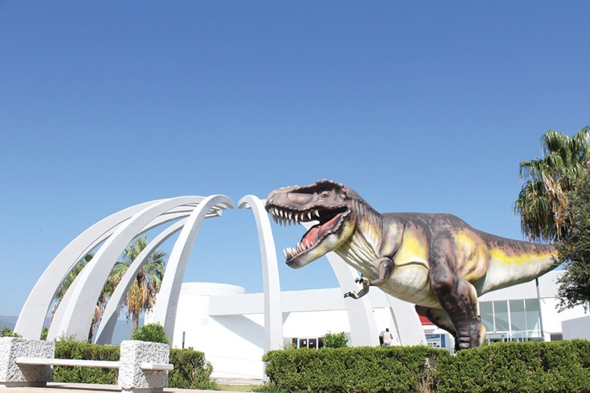 Tamux - Restauración